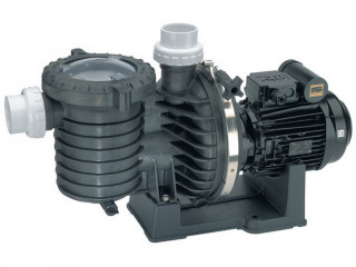 Image Pompe Sta-Rite 5P6R Standard 0.75cv 14m³ Mono
