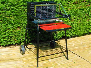 Image Barbecue Somagic RAYMOND au charbon de bois