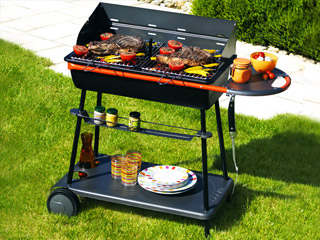 Image Barbecue Somagic QOOKA A700 au charbon de bois