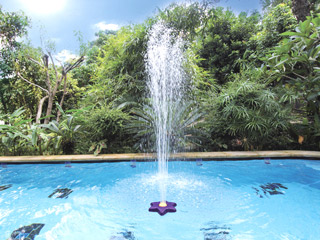 Image Fontaine fleur flottante Kokido piscine hors-sol ou enterree