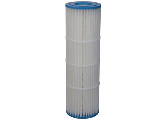 Image Cartouche filtrante PENTAIR pour filtre piscine QUAD DE