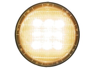 Image Eclairage piscine ampoule EOLIA WEM 20K blanc chaud 20 W CCEI