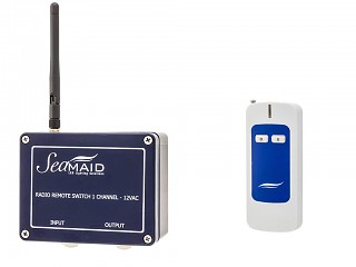 Image Module radio Seamaid + telecommande 2 boutons 12V/120W projecteur piscine