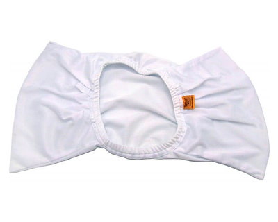 Image Sac filtrant 2µ pour Robotclean 1 & 2 Ubbink