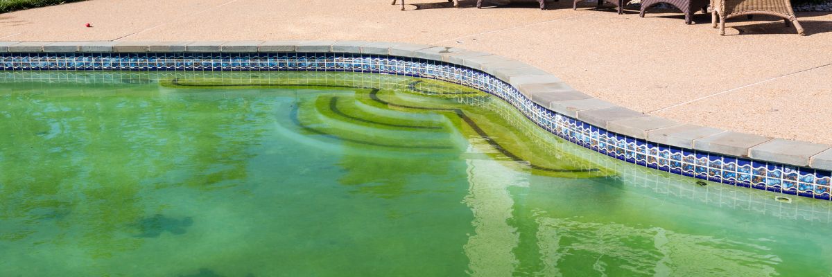 Anti algues piscine Hivernage Super - Adoucisseur Eau