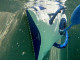 Robot piscine electrique Dolphin POOL UP - Autre vue